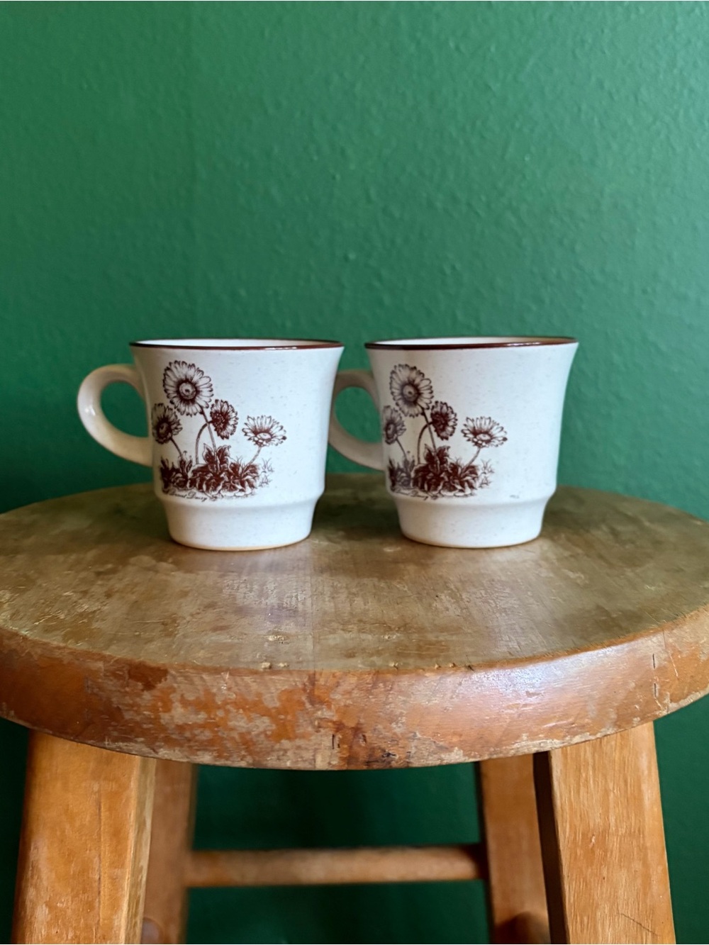 Vintage Noritake Desert Flowers stoneware mugs, set of 2